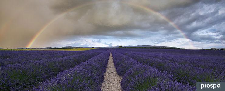 Prepare for the new financial year to find the pot of gold at the end of the rainbow