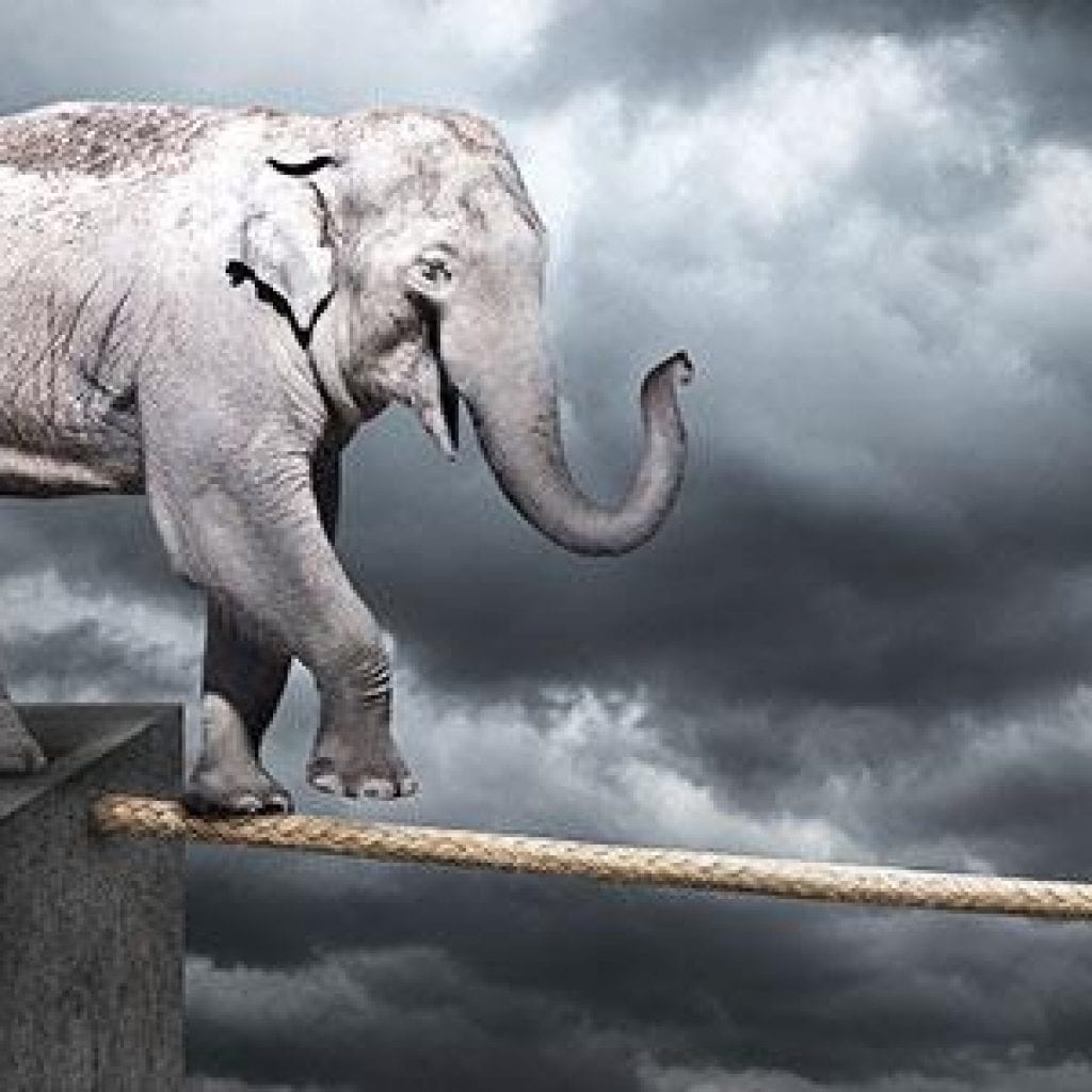 Risk management tips for small business owners